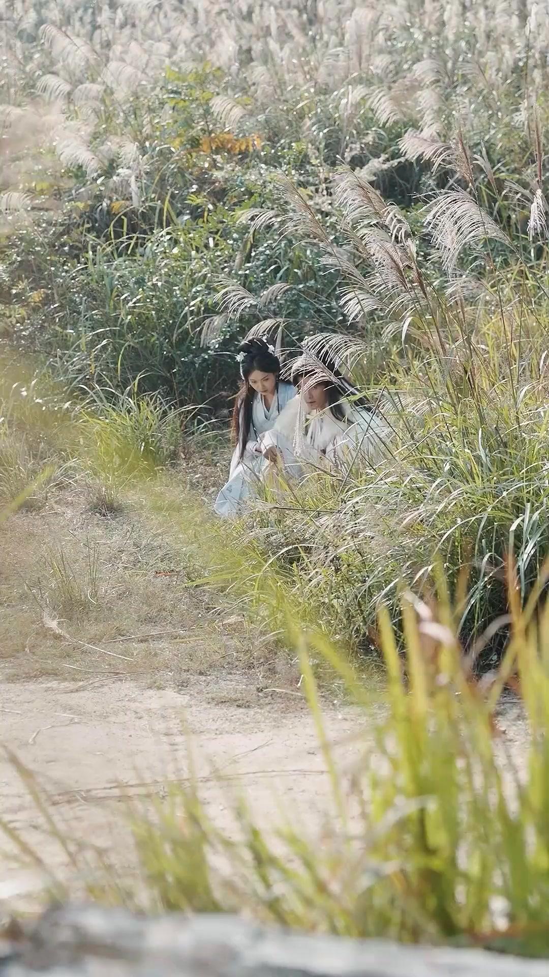 (Dubbed)Frost and Flame