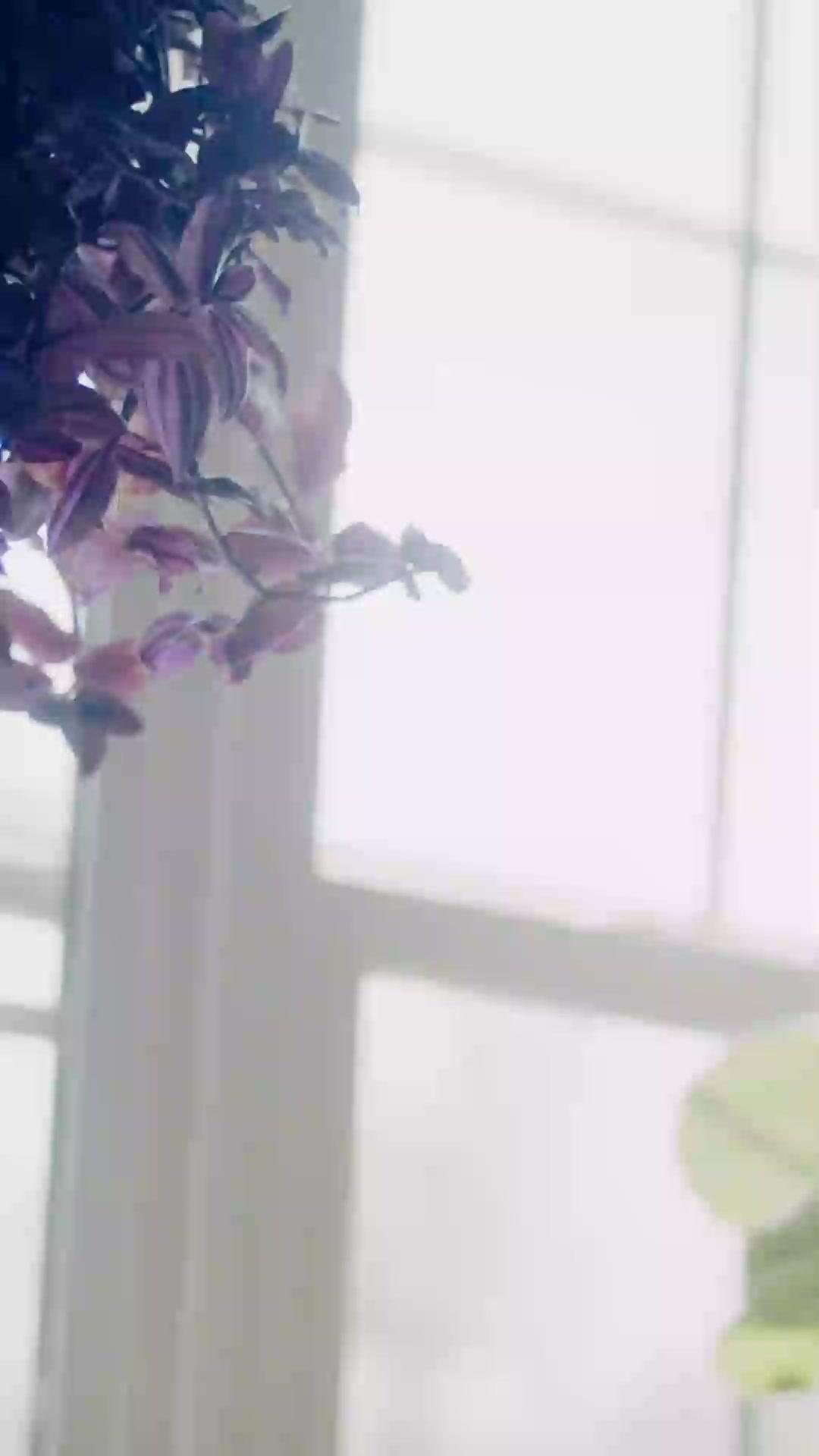 (Dublagem)O CEO Que Comprou Meu Destino