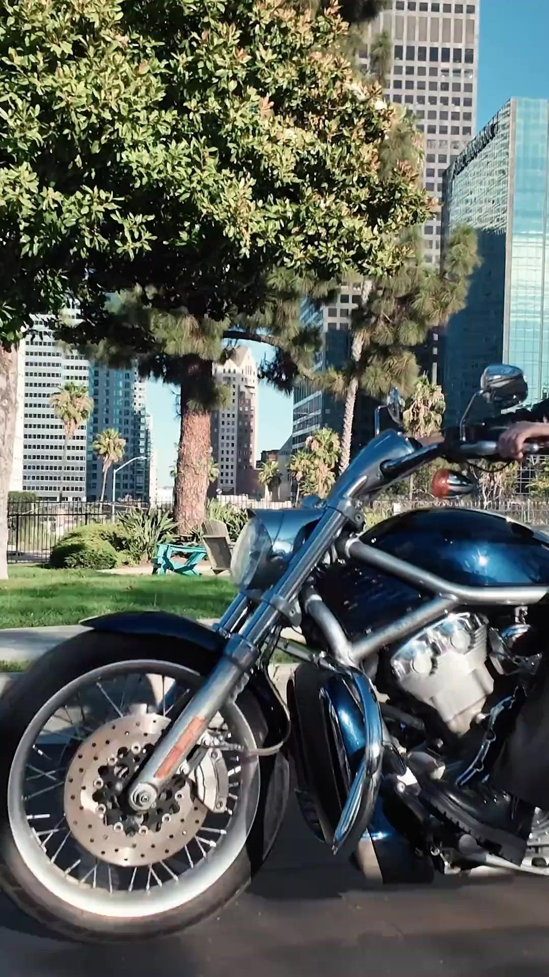 Elas por Elas: Divórcio ou Morte