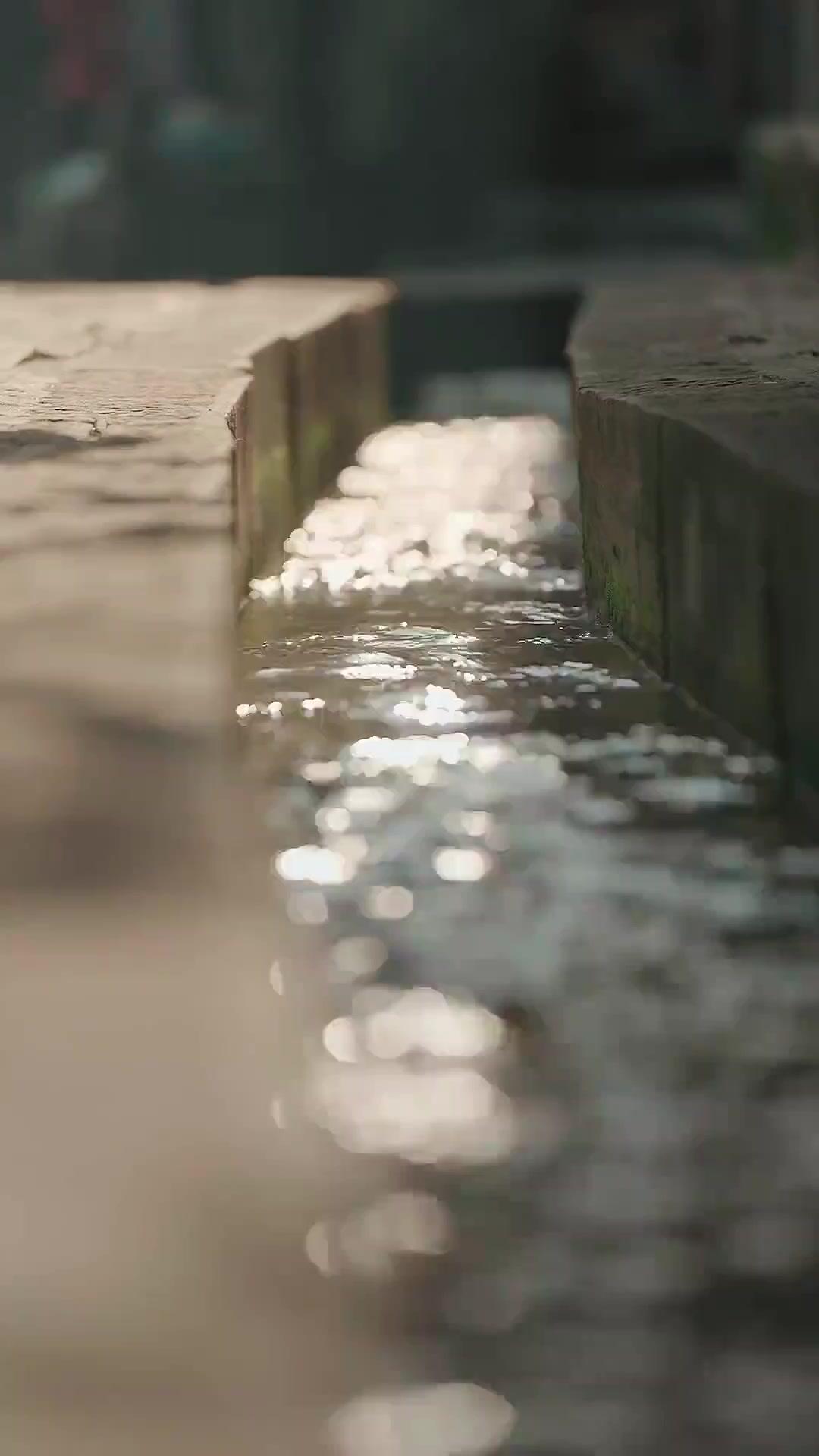 بطل الكفاح الثمل