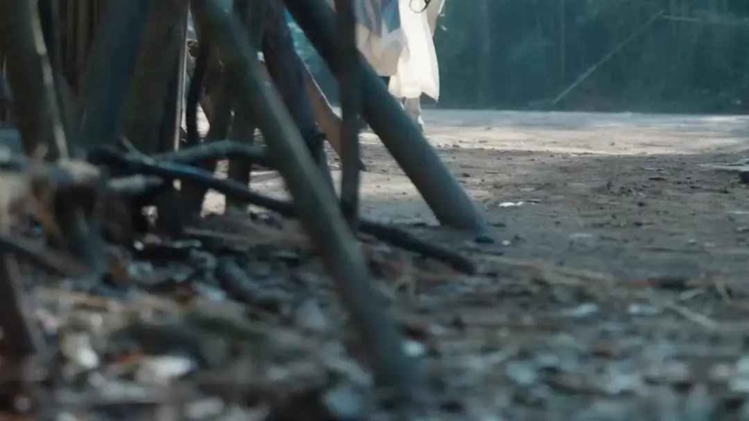 General Robin's Adventures: When the Mother Falls, the World Tilts