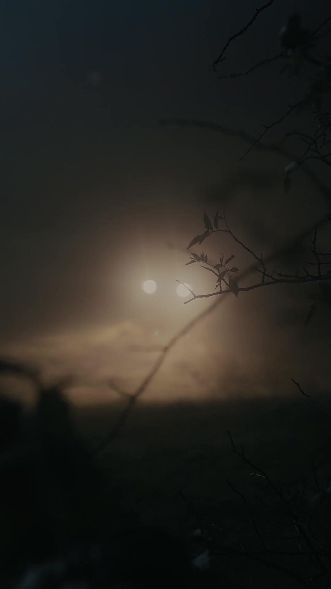 誤殺太子爺：小司機大逃亡