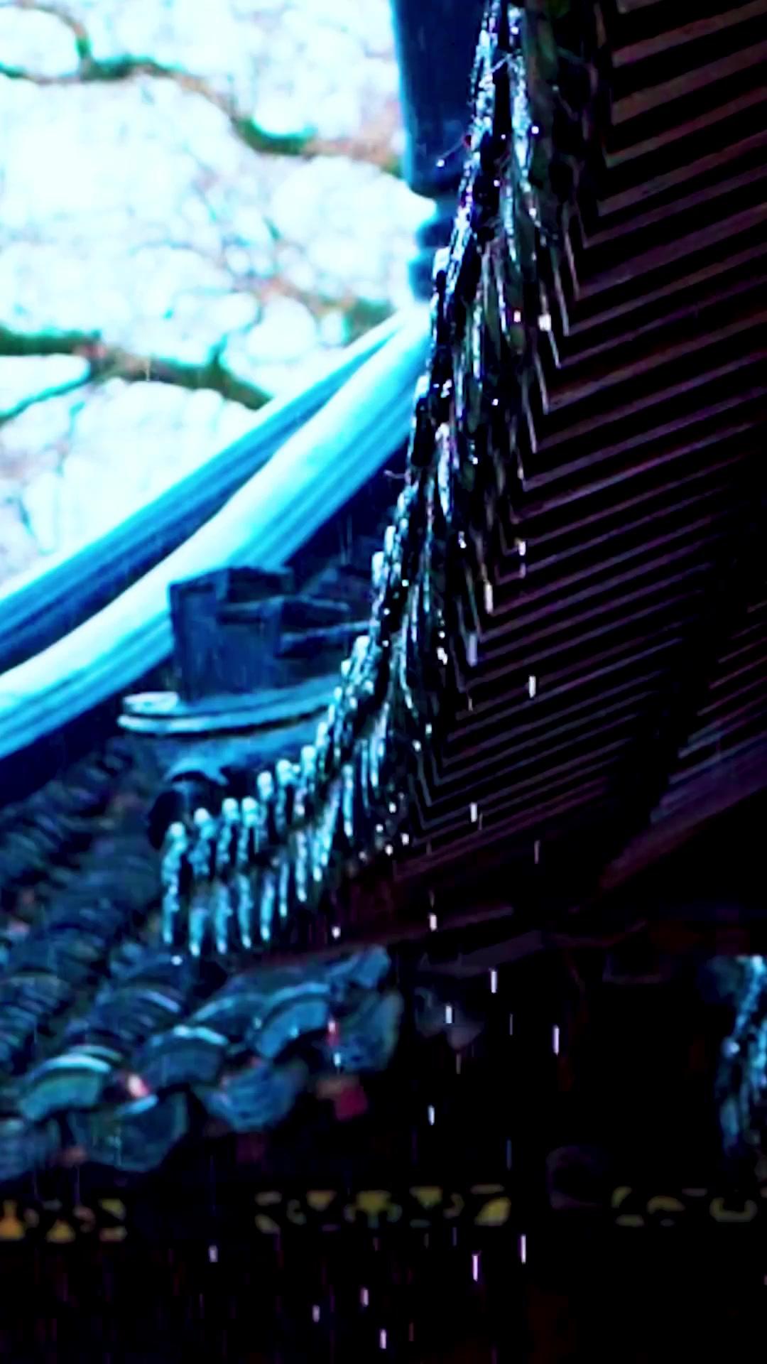 Bangkitnya Master yang tertindas