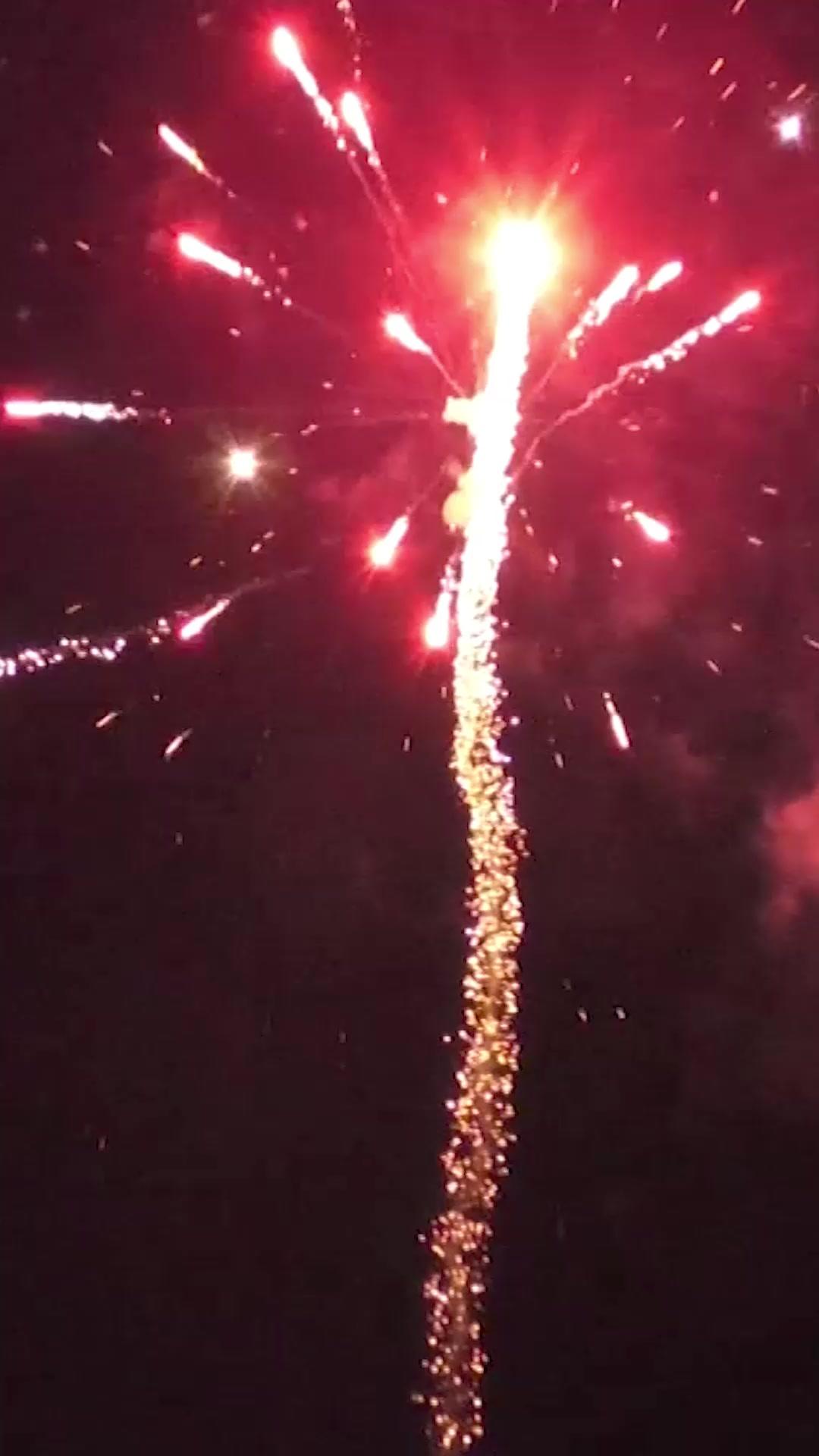 重生除夕夜，岳父別囂張