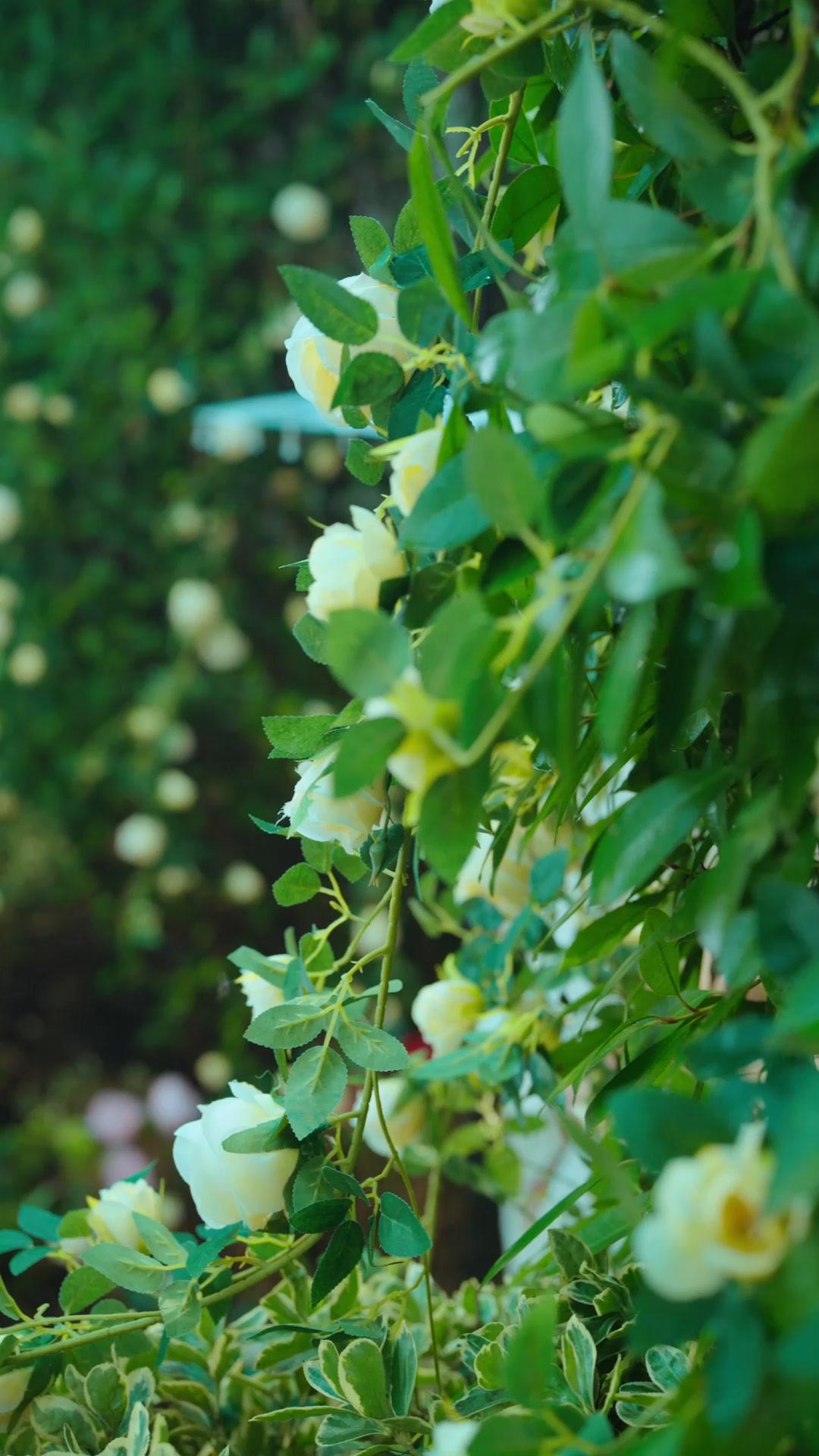 我也沒多強，是你們太弱