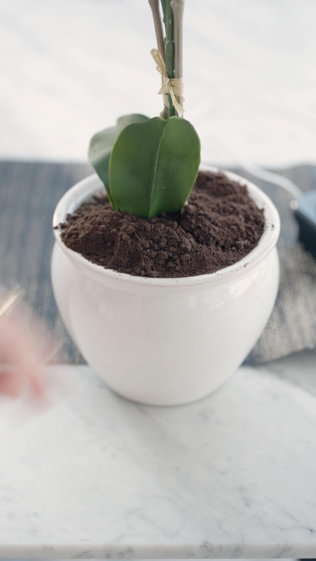 لا تعبث مع ابنة الملياردير