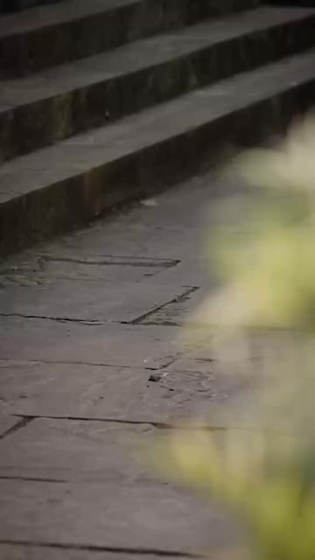 La Guerriera della Mia Casa