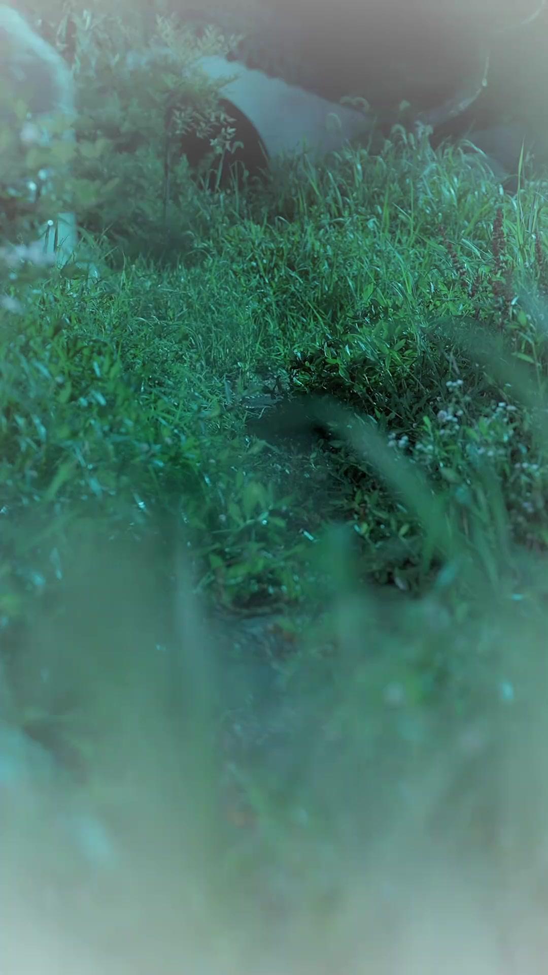 Takdir Tak Bisa Diubah