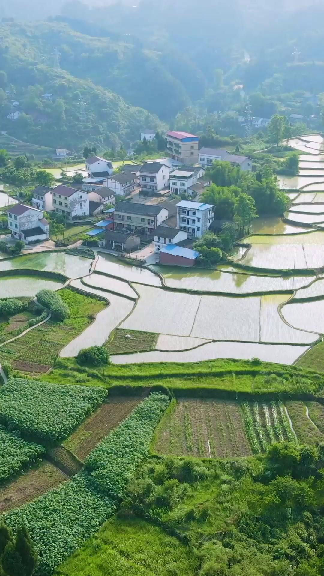 Suami Koma yang Sebagai Jutawan Bangun