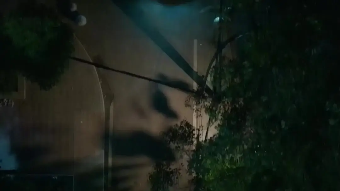 Echoes of the Bloodline: When the Hall Burns, Who Holds the Flame?