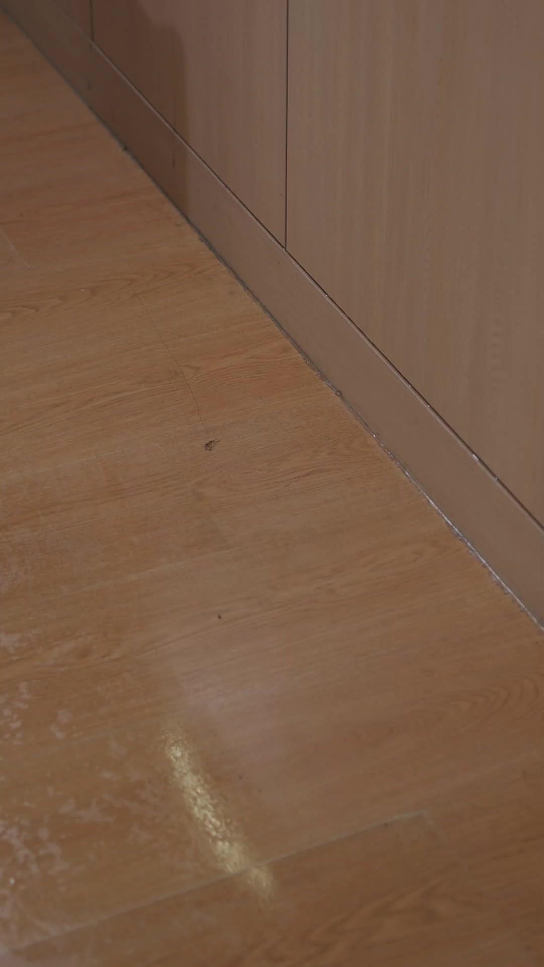 這一世，我是江總不是舔狗