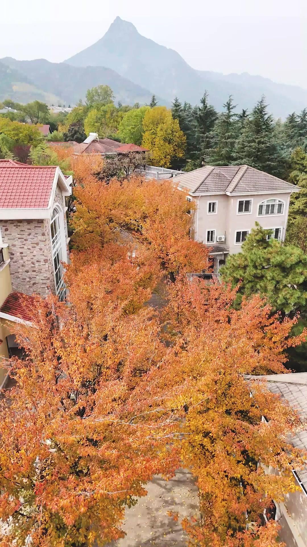 分手專家接到丈夫的單