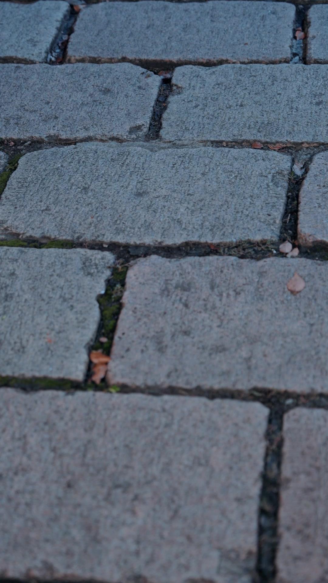 Bulan Pertemuan Abadi