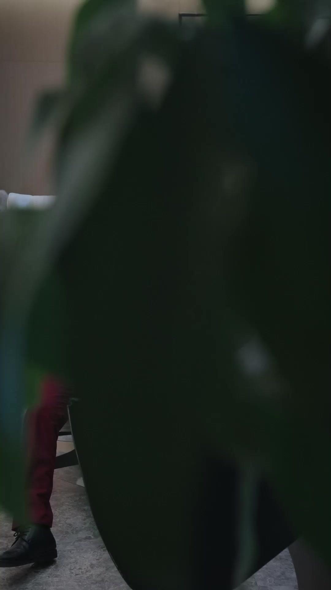 L'Amore Proibito del Prozio