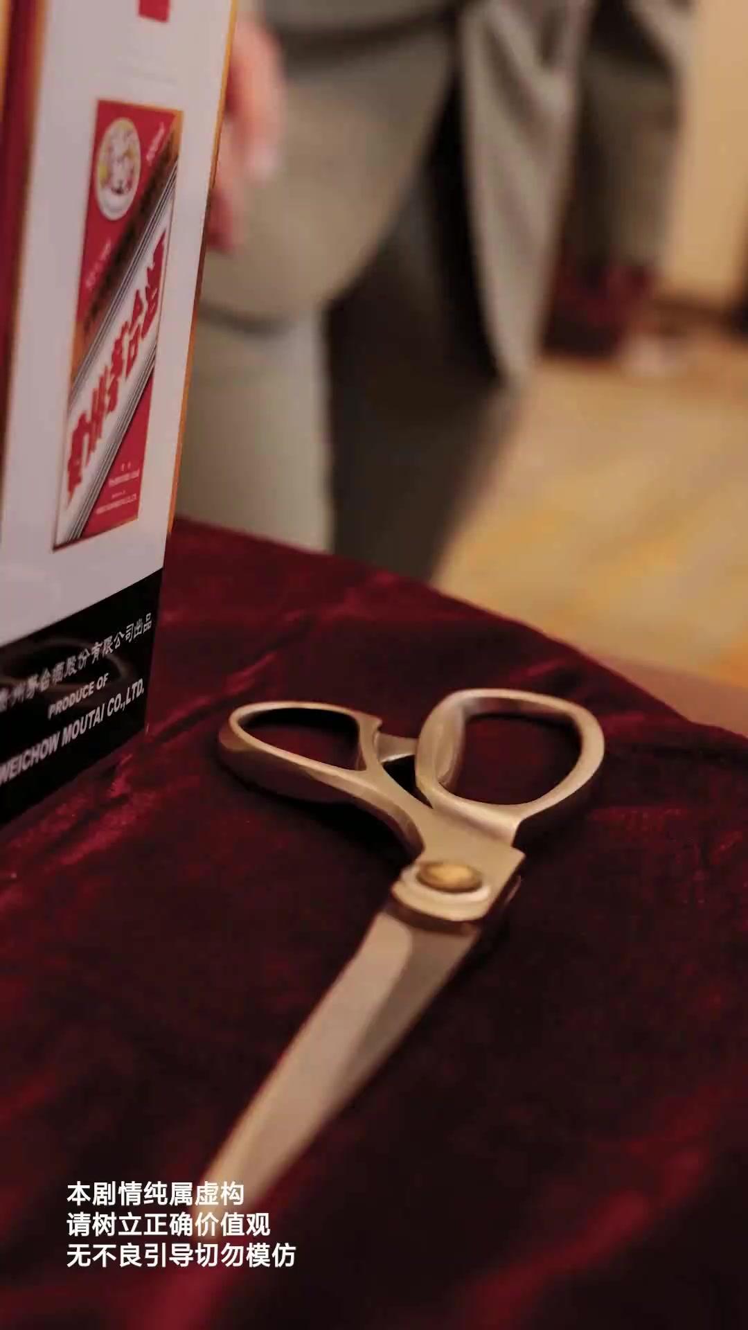 The CEO’s Rebirth: Protecting His True Heir