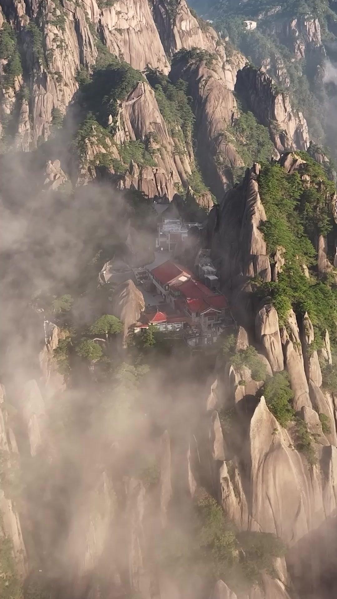 عودة السيد المفقود