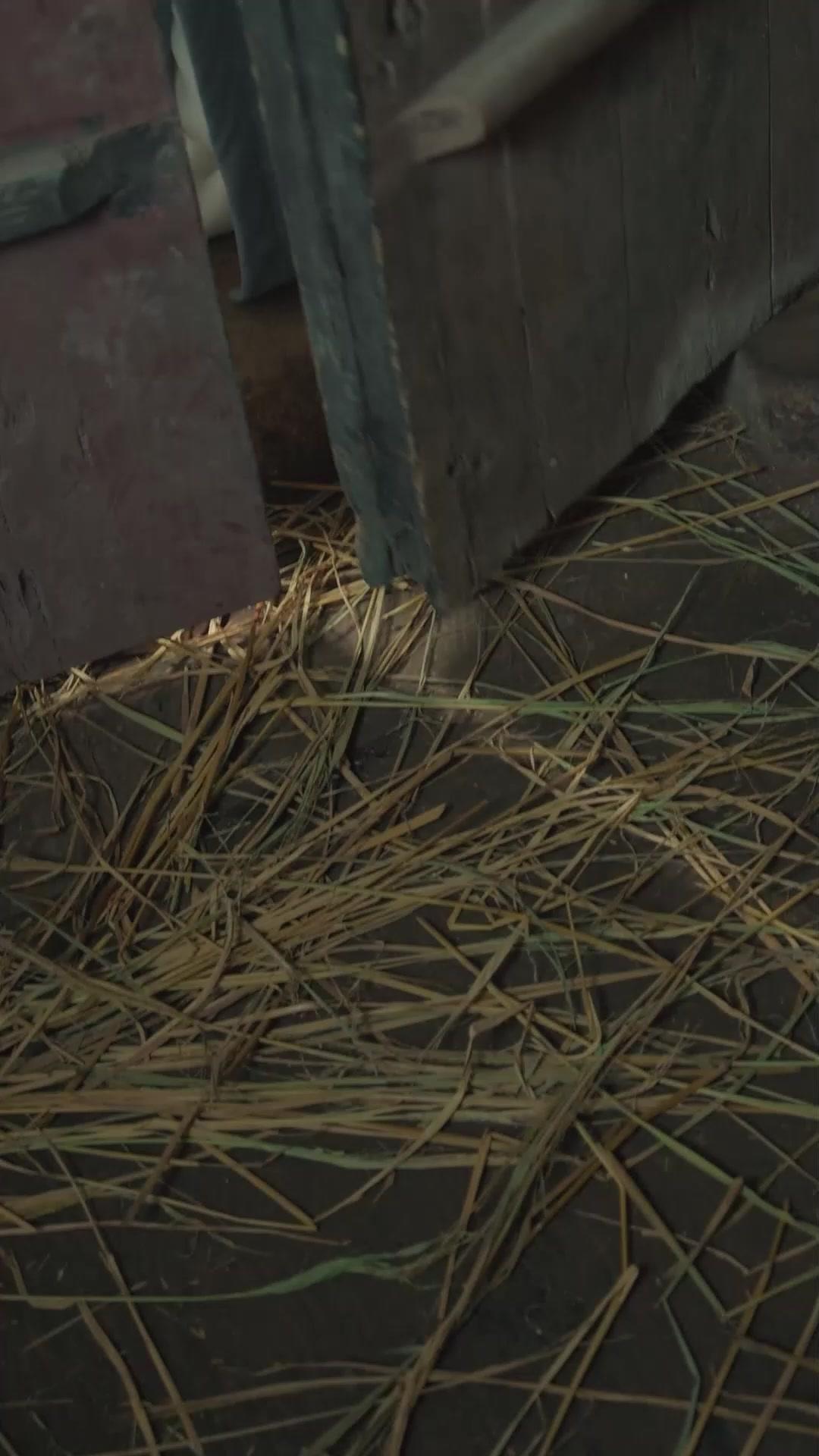  這武林老娘接管了