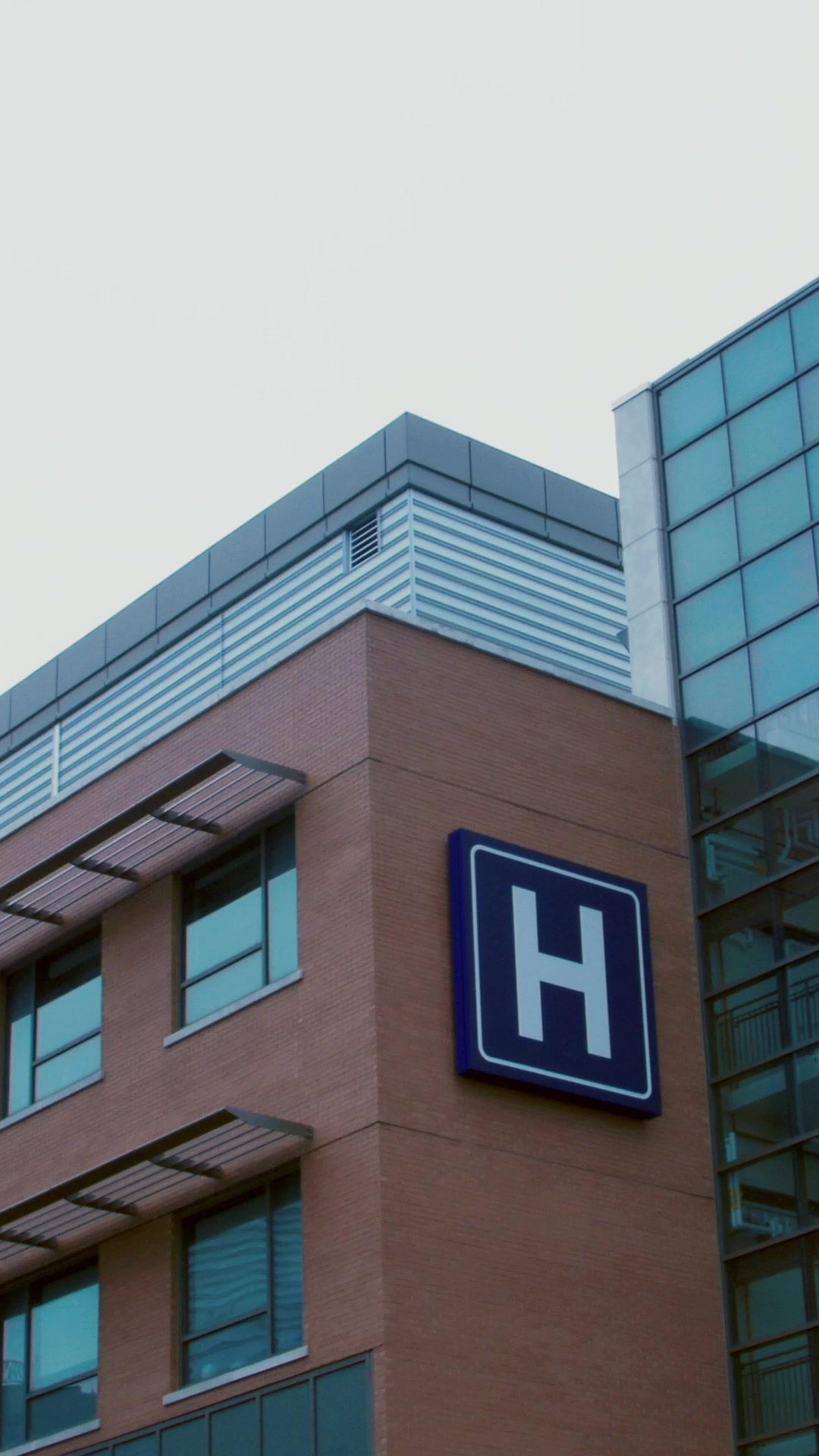 Got Pregnant by Billionaire Brothers