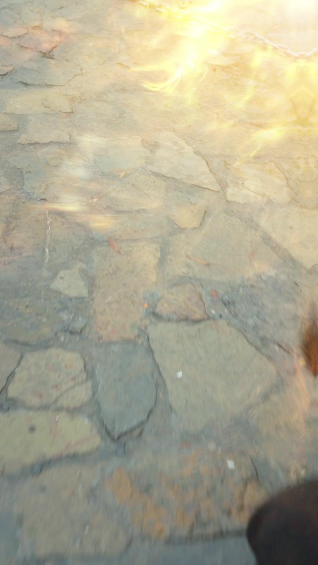 Blut und Ehre: Der Weg der Gerechtigkeit