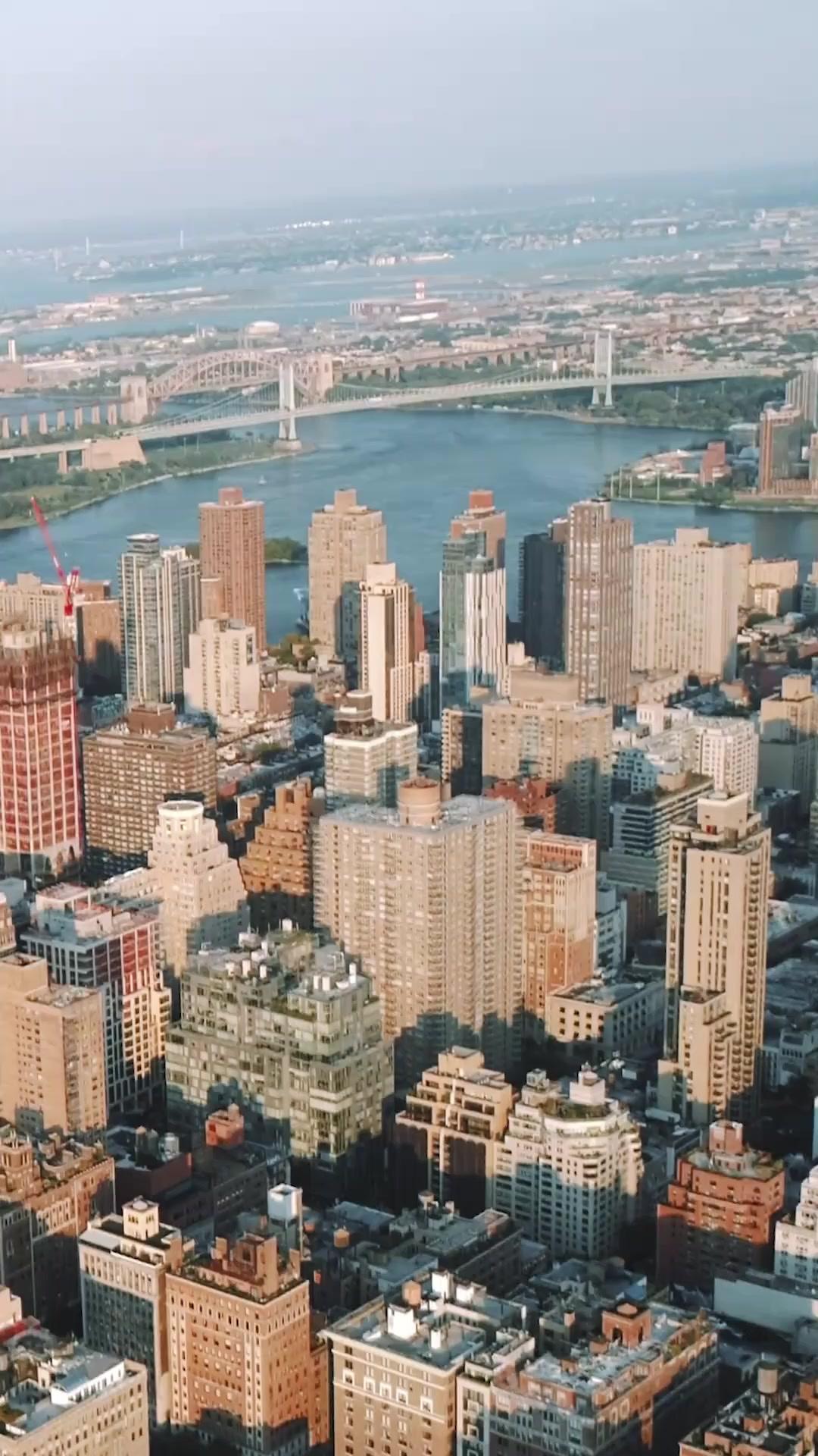 (Synchro)MafiaChfin: Tschüss, Arschloch-Ex!