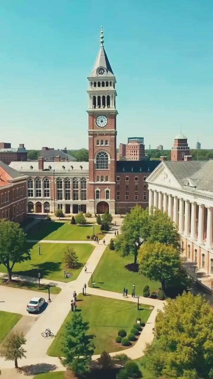 Grávida dos Gêmeos do Bilionário, O Amor Começa