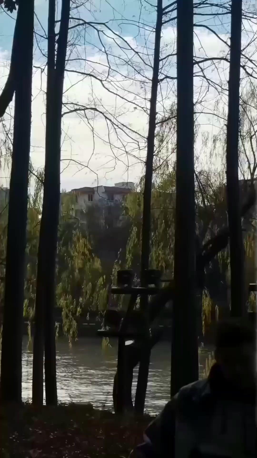 明月寄情：戀戀三百載