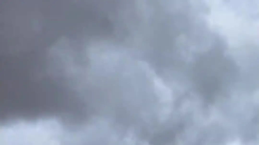 The Car Escape That Said It All