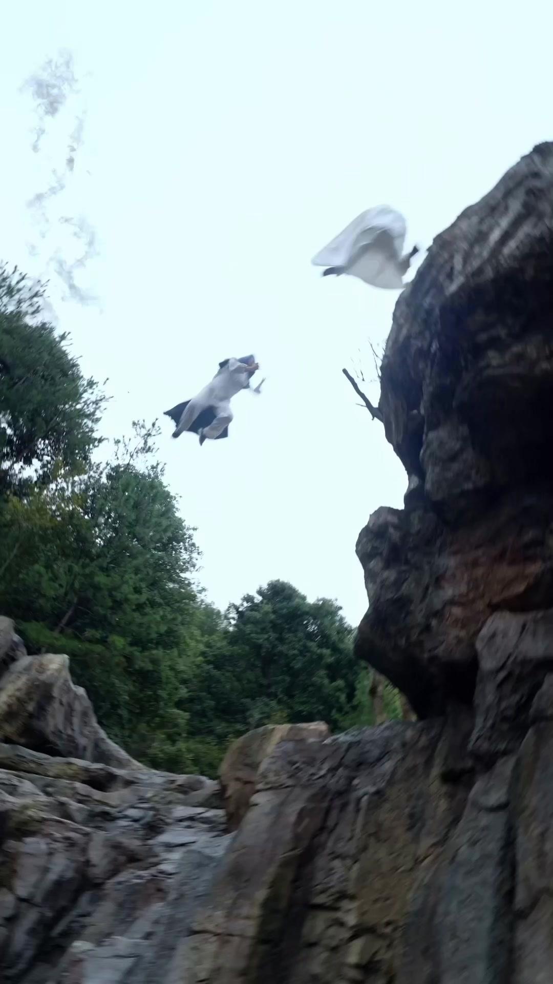 絕境逆襲，出獄後我無敵了