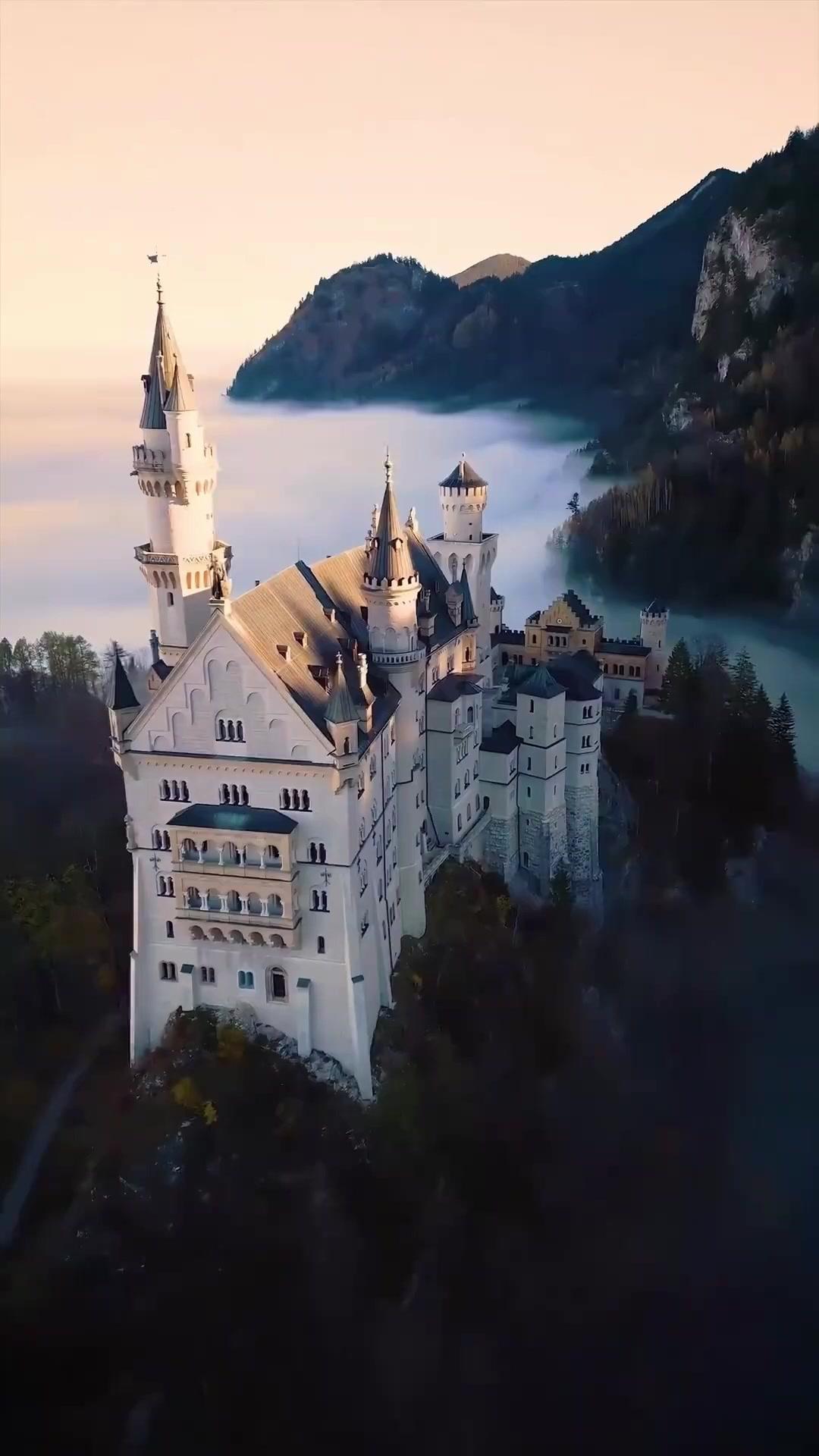 Marcada Pelo Meu Lycan Condenada à Morte