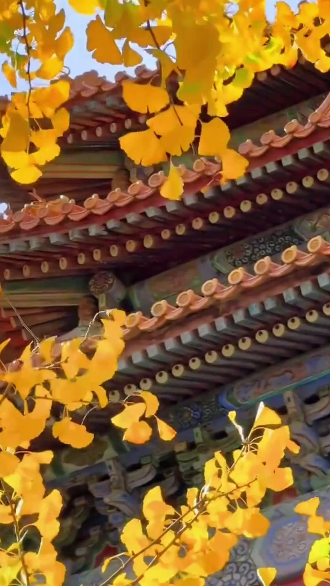 A Different Bride? No, She's a Demon!