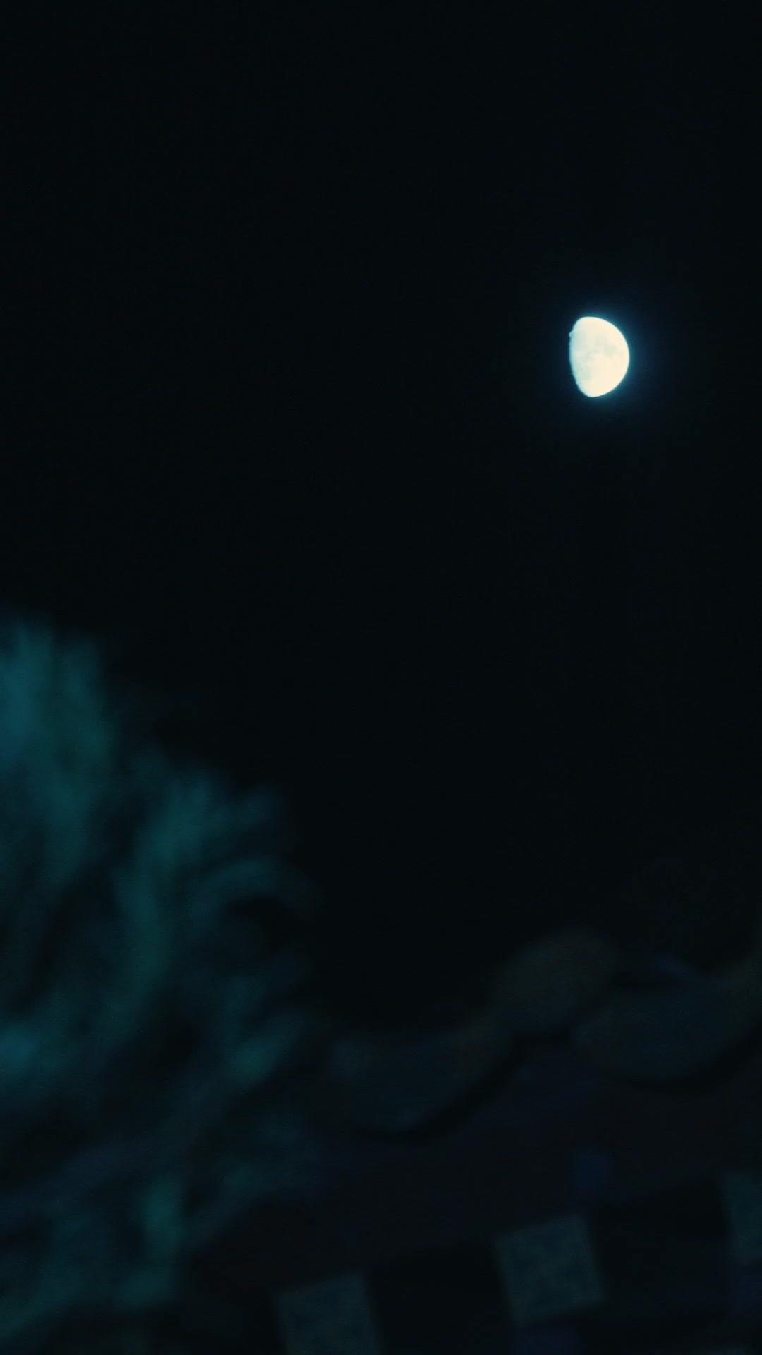 Bertahan Hidup di Dunia Berbeda