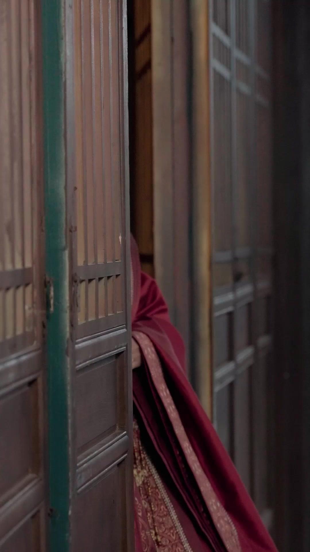 (Dublagem)O Retorno da Fênix