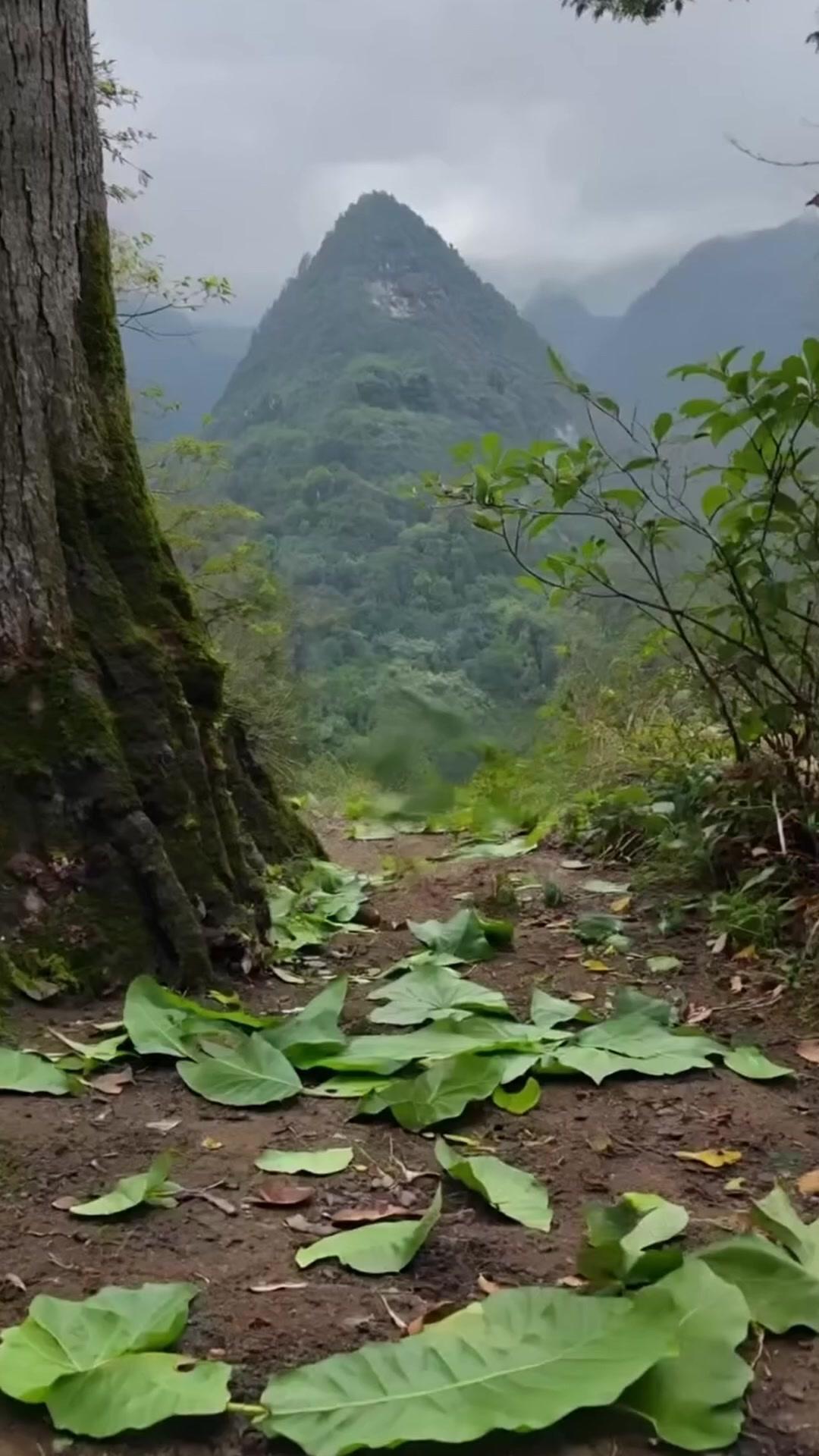 Goodbye, My Doomed Sect!