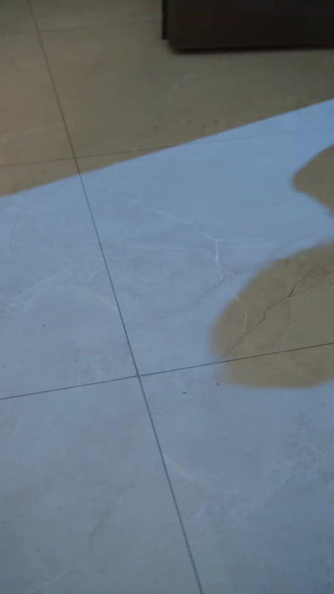 Jiwaku Jenderal, Tubuhku Istri CEO