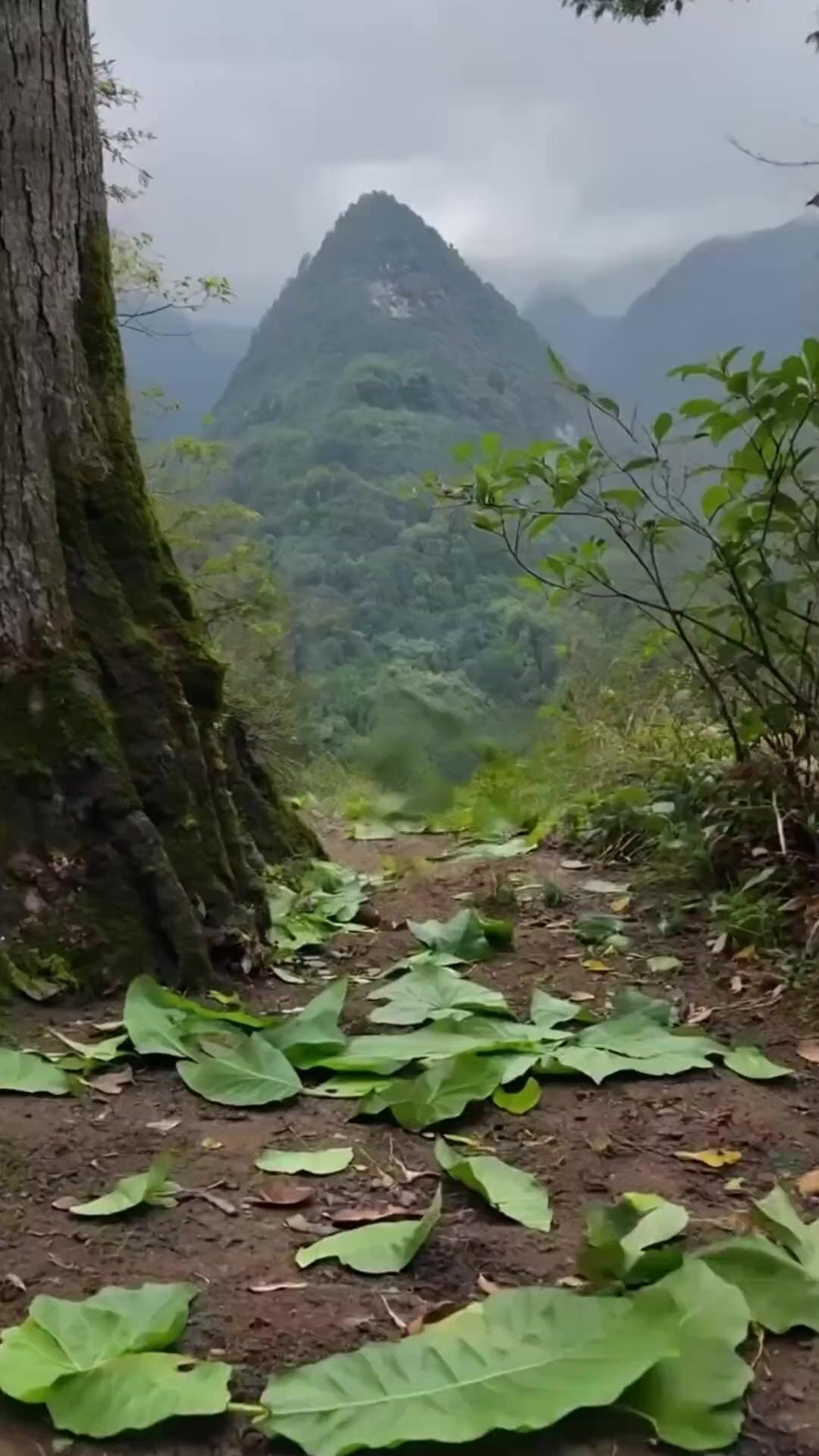 生まれ変わった私に宗派なんて関係ない！
