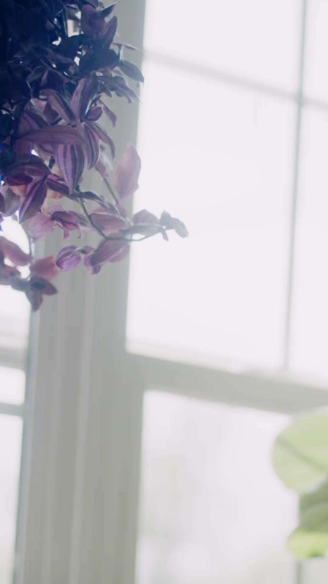 (Doblado) Amor forzado al CEO