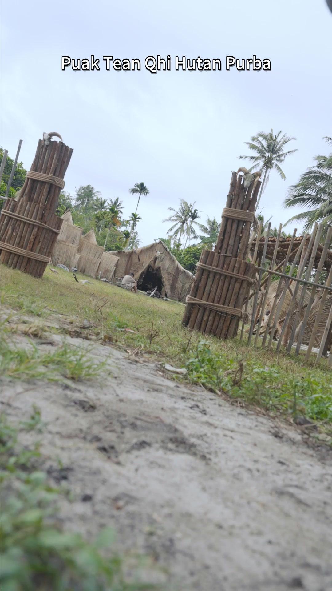 Angin Jatuh Di Rimba