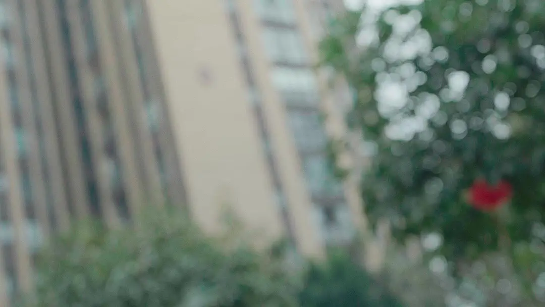 Thief Under Roof: When a Door Becomes a Mirror