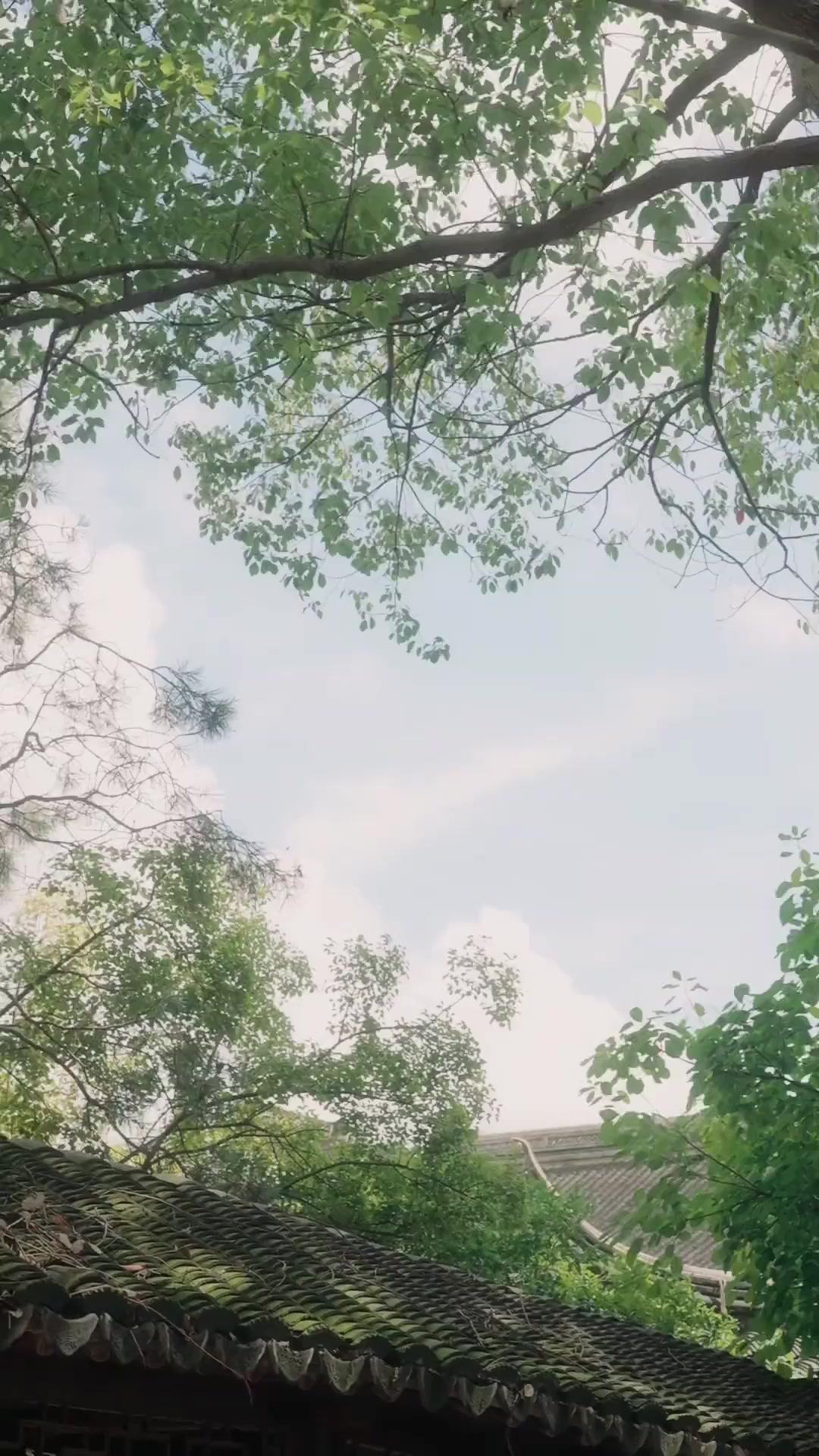 โชคชะตาพาเธอมาหาฉัน