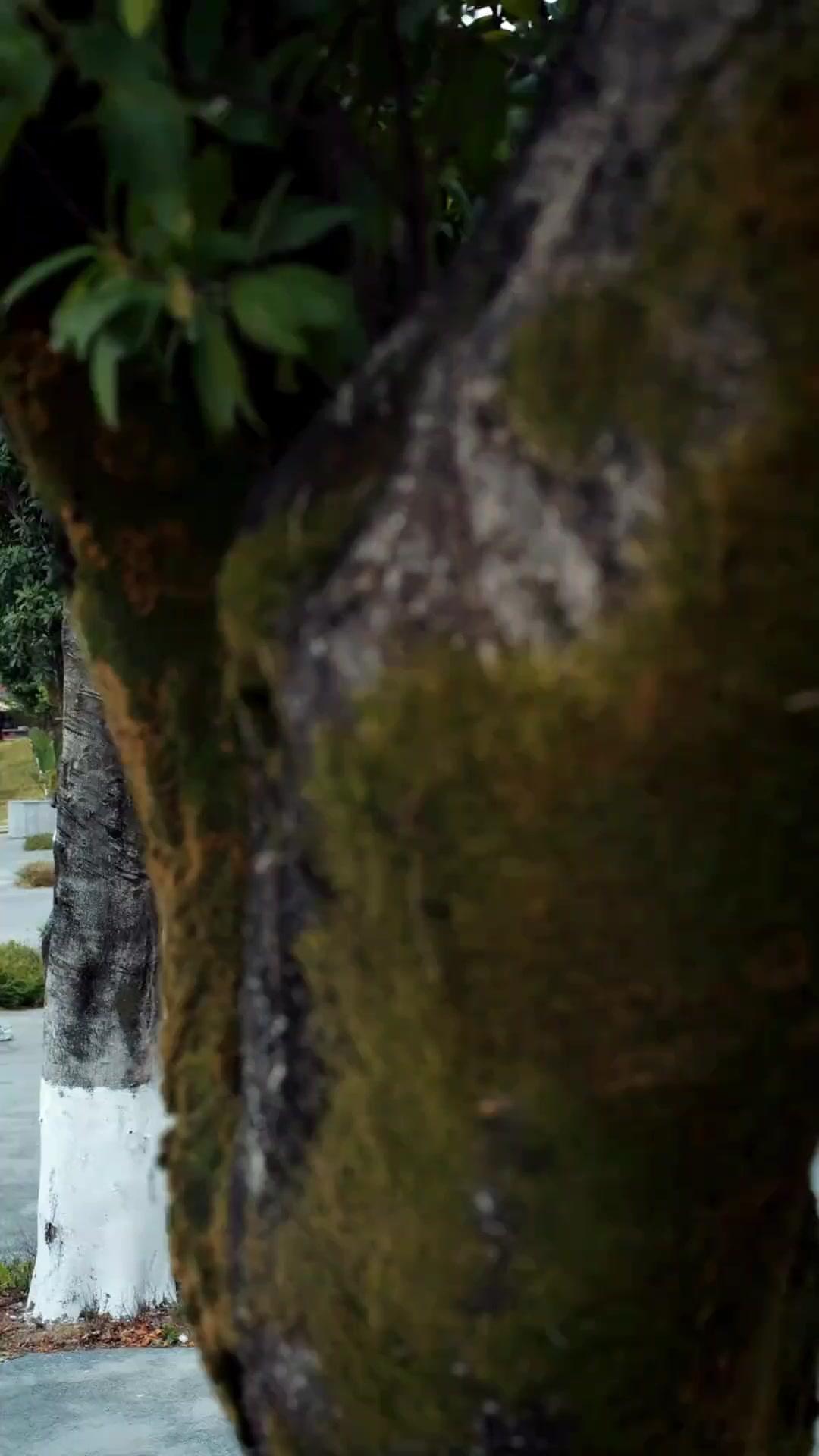 Karma Membohongi Tunangan