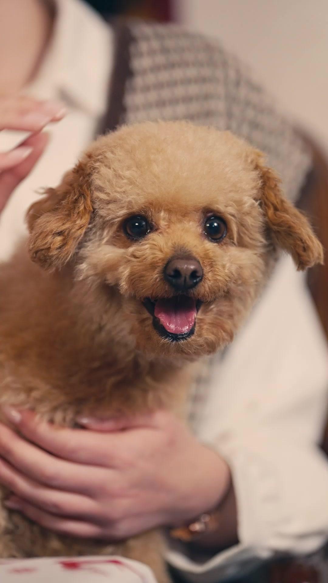 A Mistake at Sea: The Evil Bride Crossed the Billionaire Madam