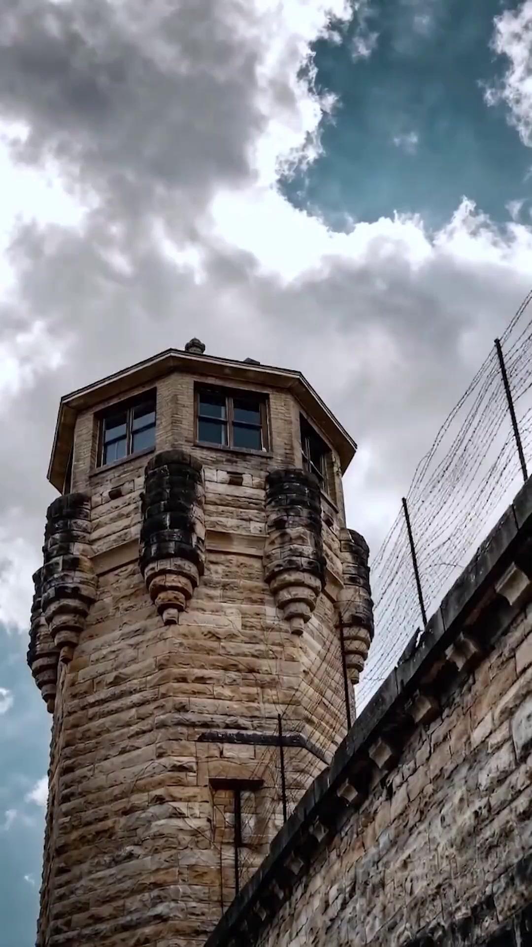 Guguk Kuşuna Merhamet Yok