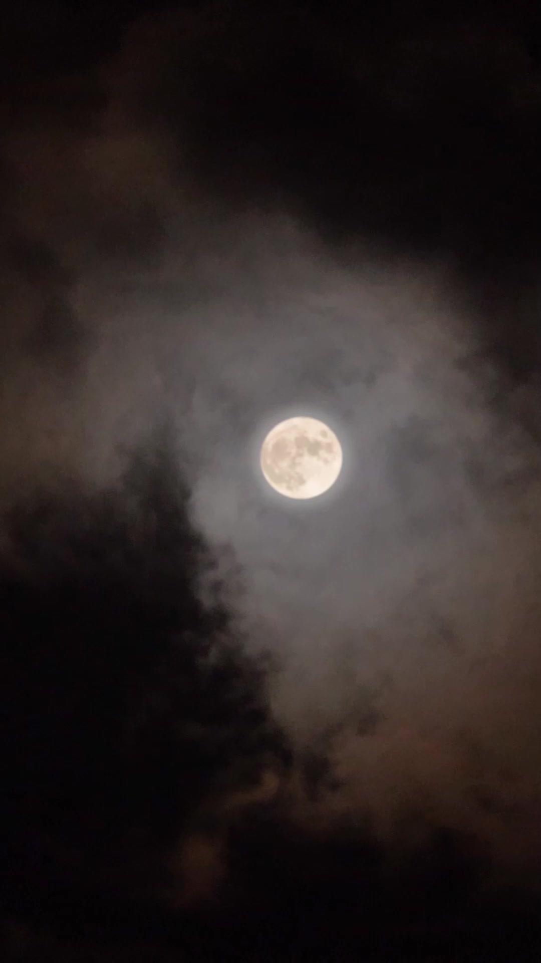 O Herdeiro de 6 Anos: Defender a Herança