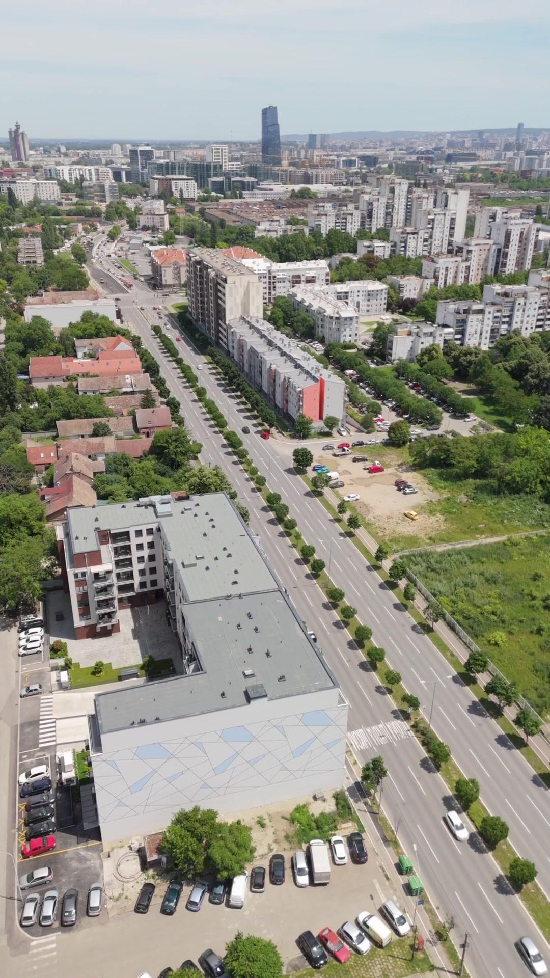 His Amnesia Made Me Queen