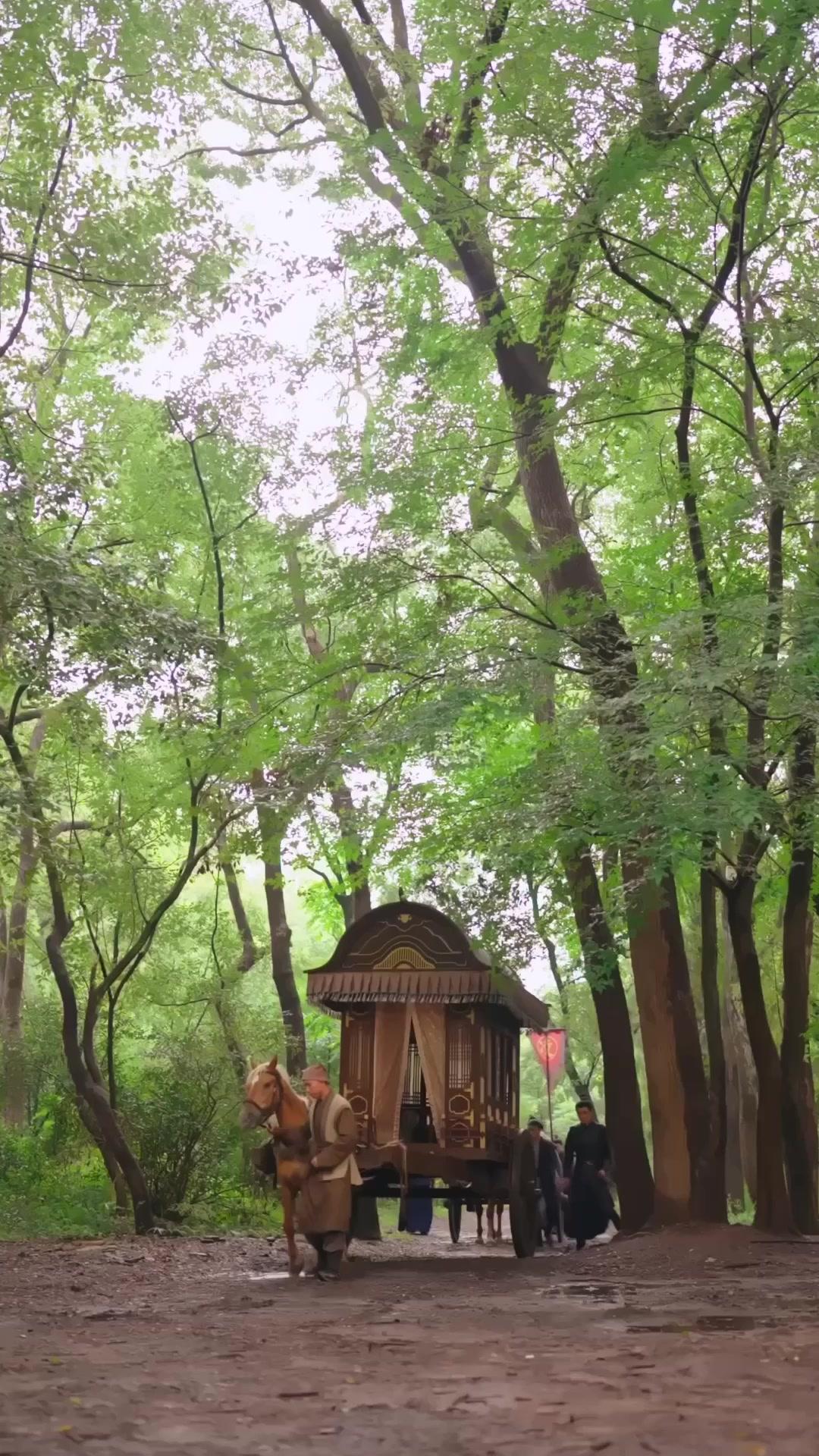 山河血流～乱世に君と征く～