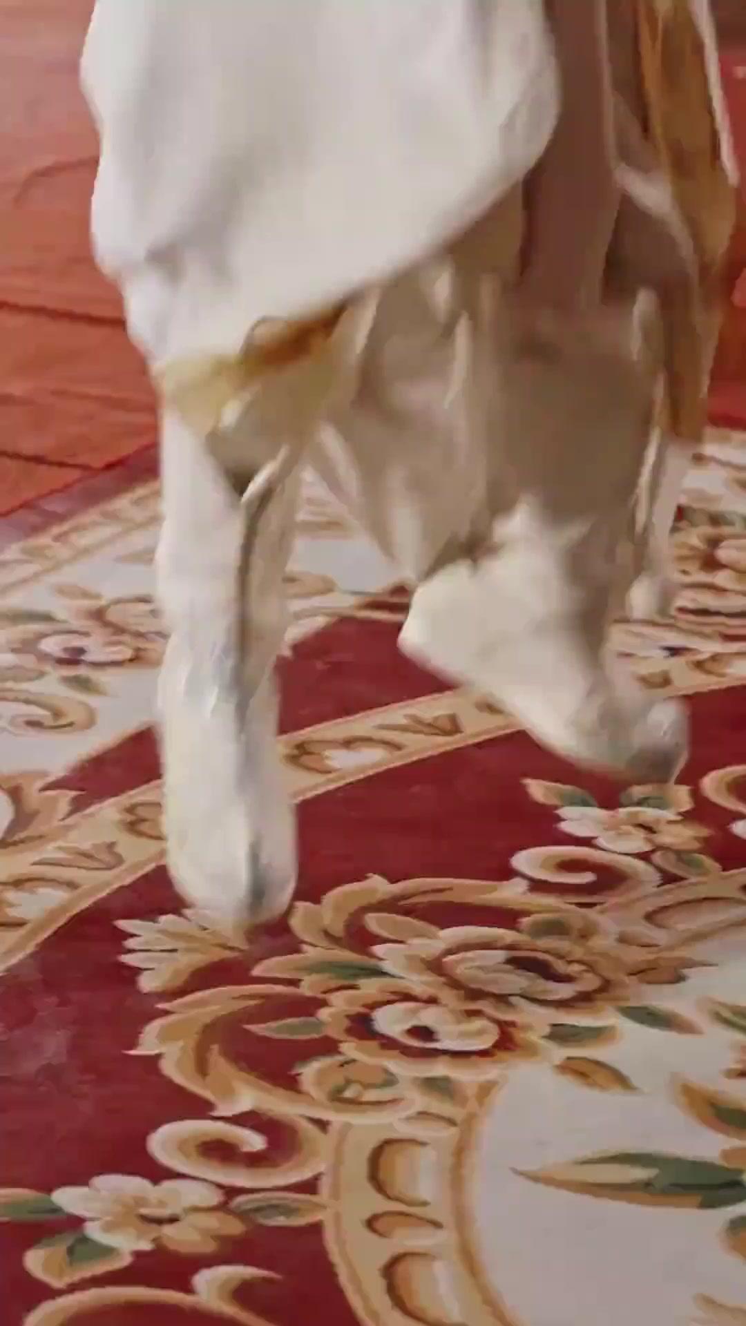 (Dubbed)Her Spear, Their Tear