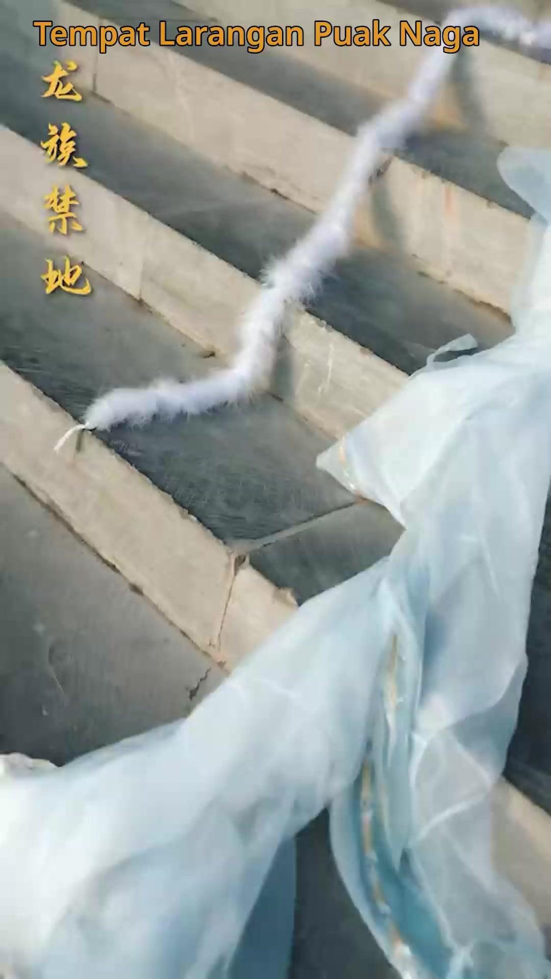 Anakku Naga Emas Yang Terhormat!