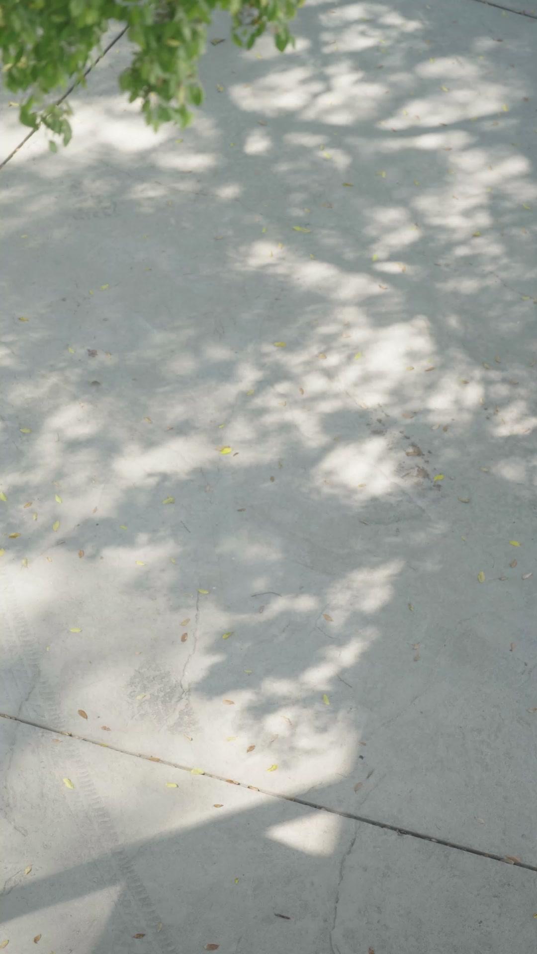 Love Again, My Adoptive Brother