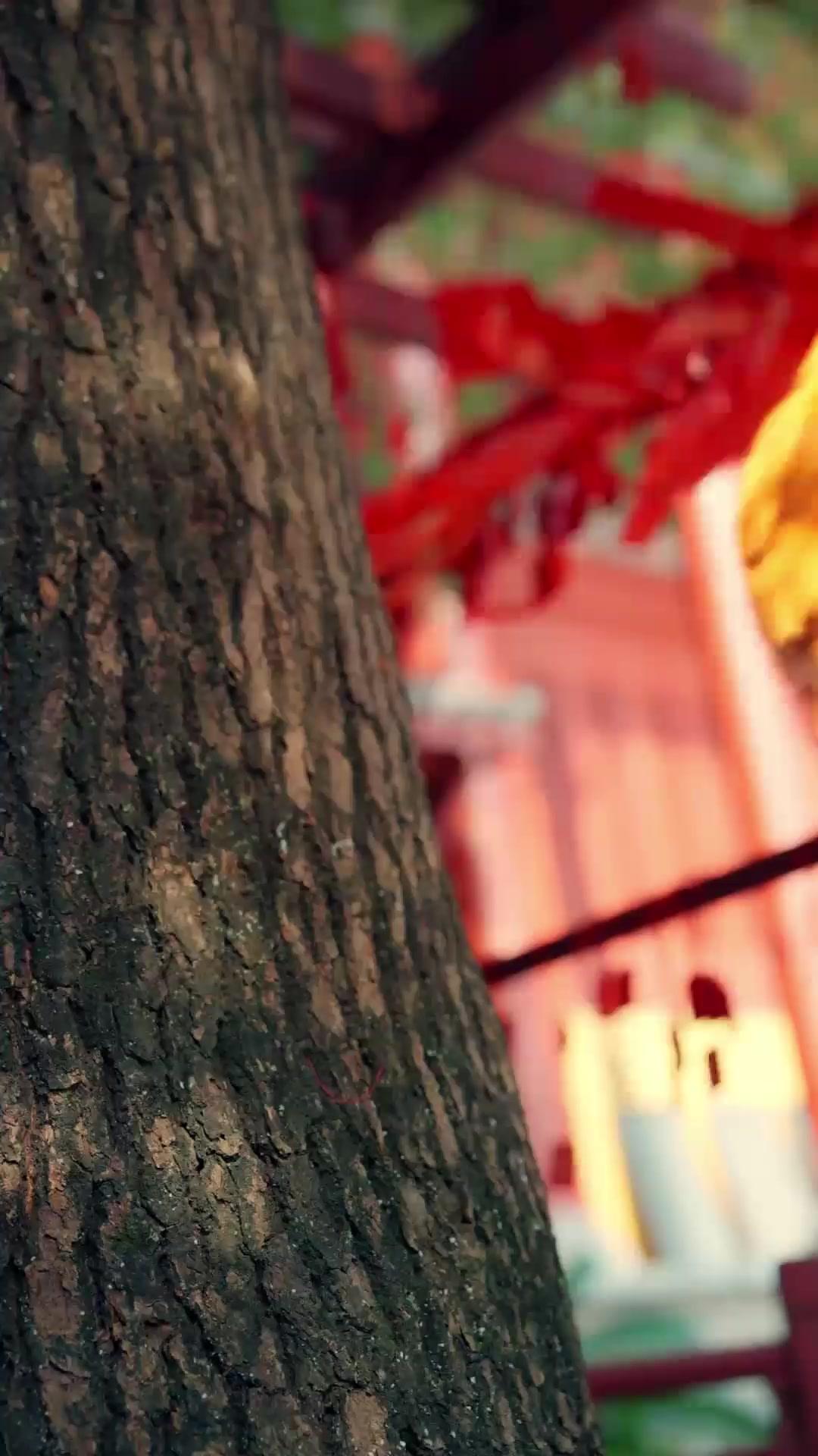 (더빙) 약혼자 버리니 황후가 차려지네