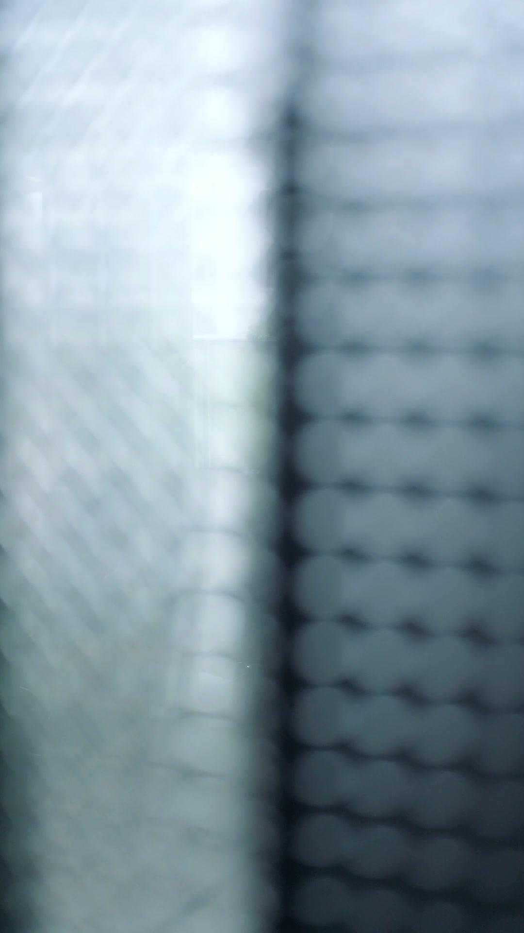 Terjebak Dendam, Terikat Cinta